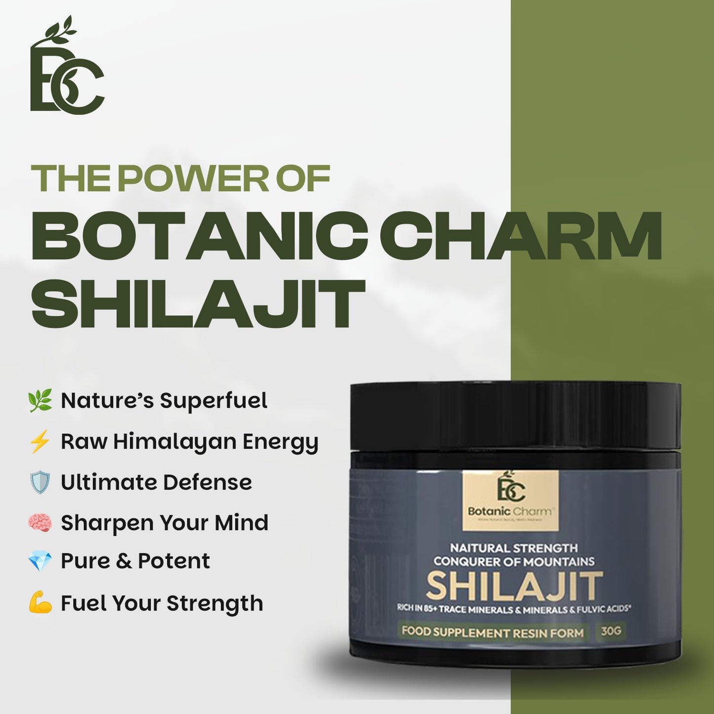 Botanic Charm Premium Shilajit Resin – 30g 🌿